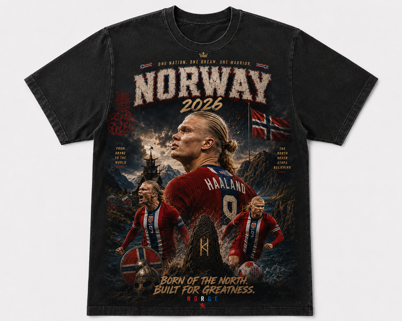 Norway 2026 “Born of the North” Vintage Heavyweight T-Shirt