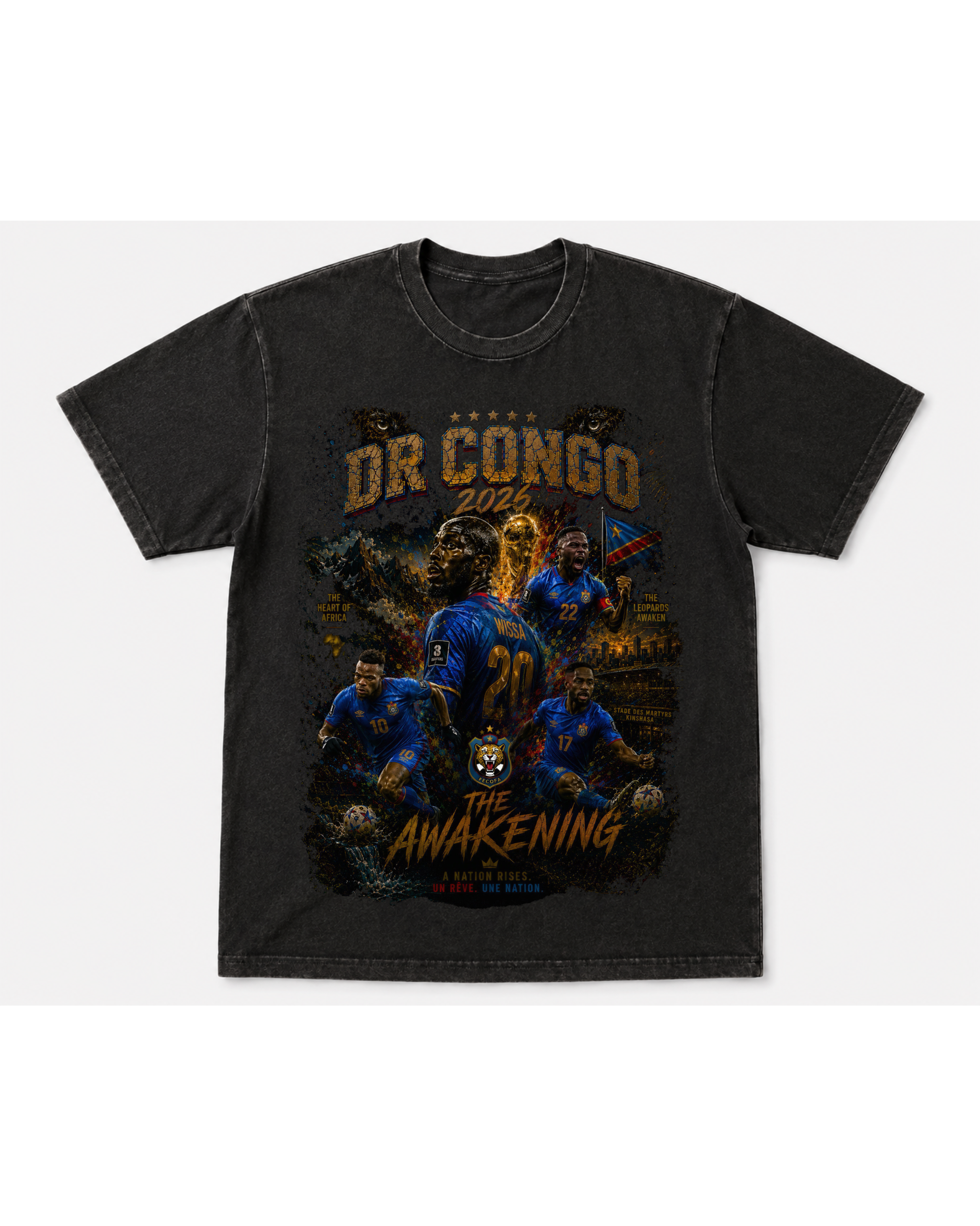 DR Congo 2026 " The Awakening" Vintage Graphic Tee